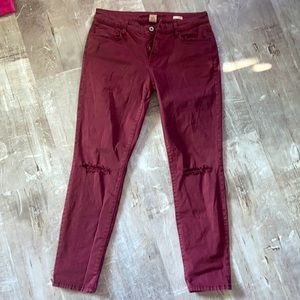 Arizona Jeans size 11